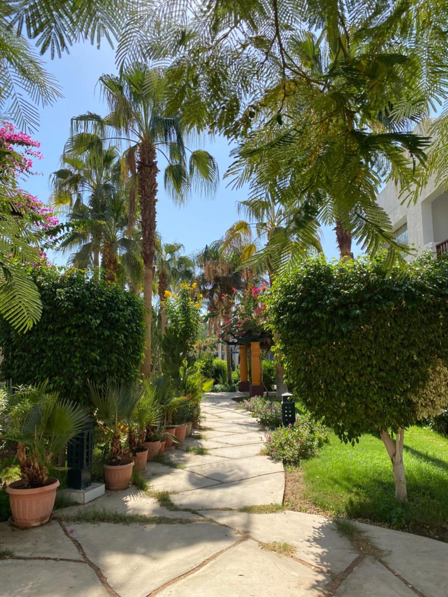 Delta Sharm Apartment Ngoại thất bức ảnh