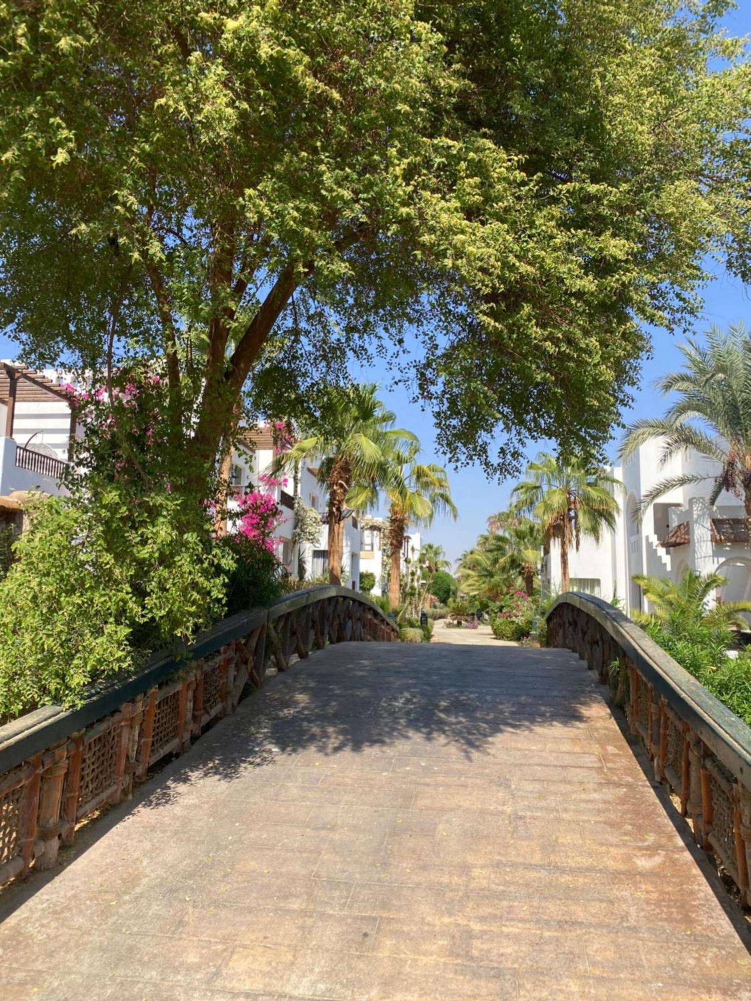 Delta Sharm Apartment Ngoại thất bức ảnh