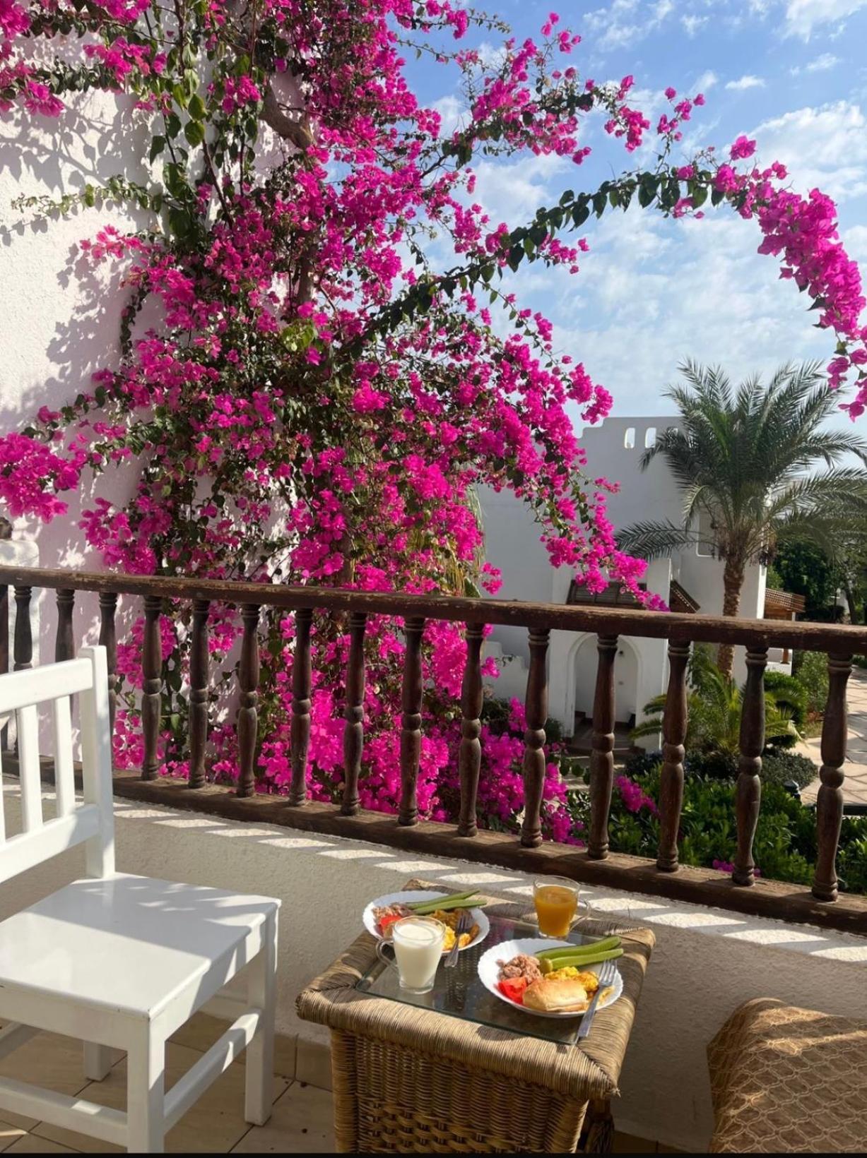 Delta Sharm Apartment Ngoại thất bức ảnh